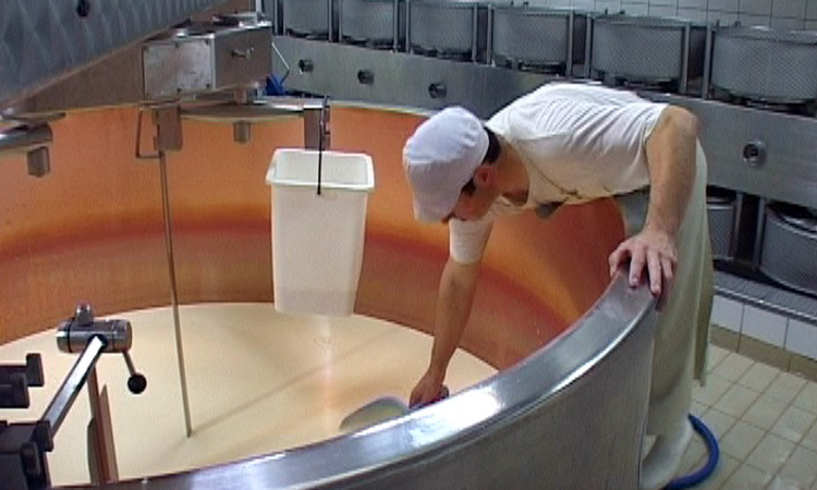 Richesse de la filière lait - 2mn 23s